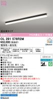 OL291576R2M