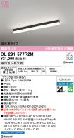 OL291577R2M