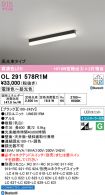 OL291578R1M