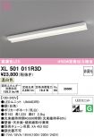 XL501011R3D