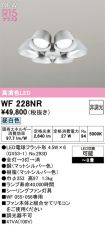 WF228NR