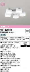 WF300NR