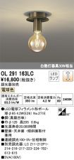OL291163LC