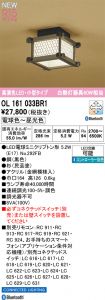 OL161033BR1