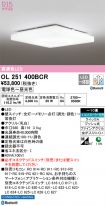 OL251400BCR