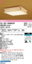 OL251420BCR