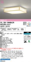 OL291098BCR
