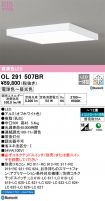 OL291507BR