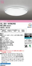 OL251197BCR2