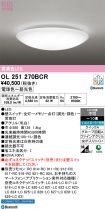 OL251270BCR