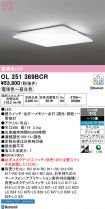 OL251389BCR