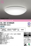 OL251816NGR