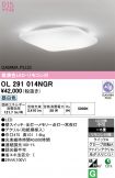 OL291014NGR
