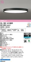 OL291413BR