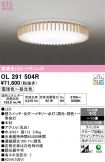 OL291504R