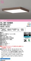 OL291520BR