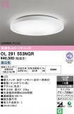 OL291553NGR