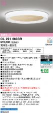 OL291663BR