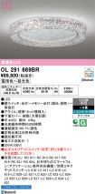 OL291669BR