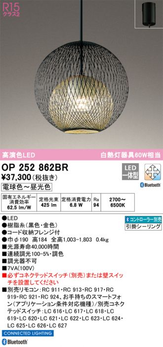 OP252862BR