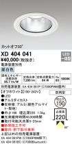 XD404041