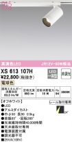 XS613107H