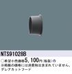 NTS91028B