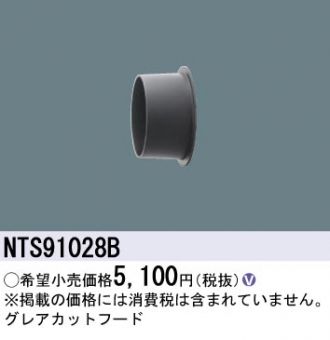 NTS91028B