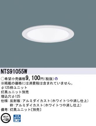 NTS91055W