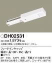 DH02531