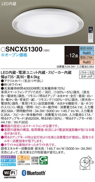 SNCX51300