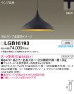 LGB16193