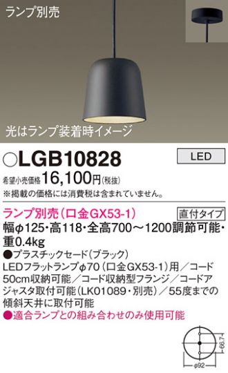 LGB10828