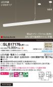 SLB17176LB1
