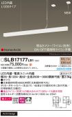 SLB17177LB1