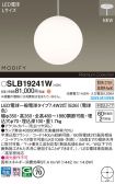 SLB19241W