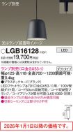 LGB16128