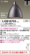 LGB16703