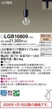 LGB16800