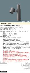 YYY33011